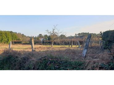 Terreno residenziale in vendita a Calle LUGAR BUSTELO