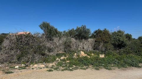 Photo 4 of Residential for sale in Partida Les Clotes. Sector 46 Pol. 11 Parcela, Coma-ruga platja, El Vendrell