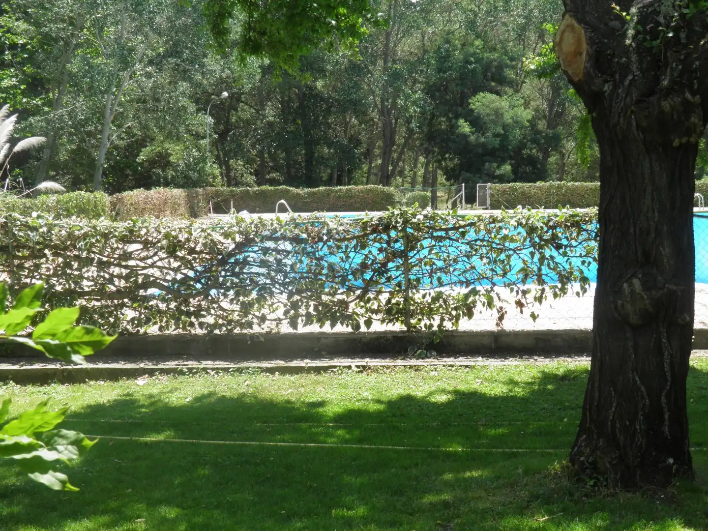 Swimming pool of Buildings for sale in Brazatortas  with Alarm and Community pool