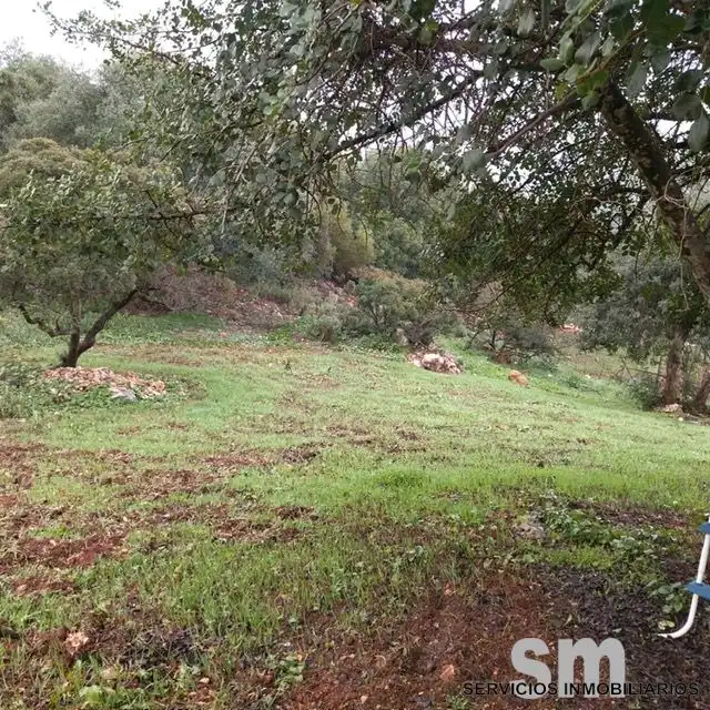 Terreni e lotti in vendita a Benaocaz, imagen 19