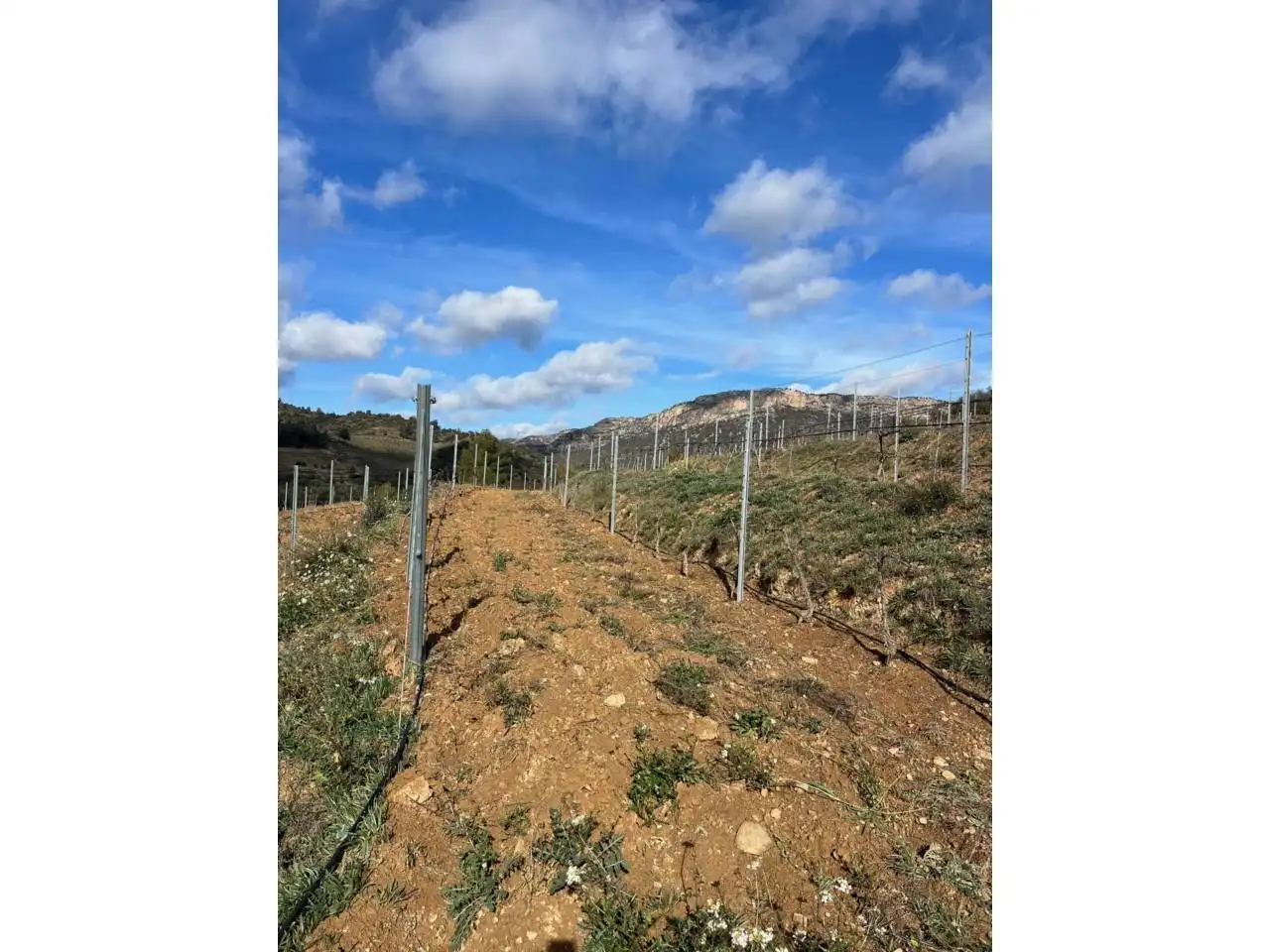 Terreno en venta en La Vilella Baixa