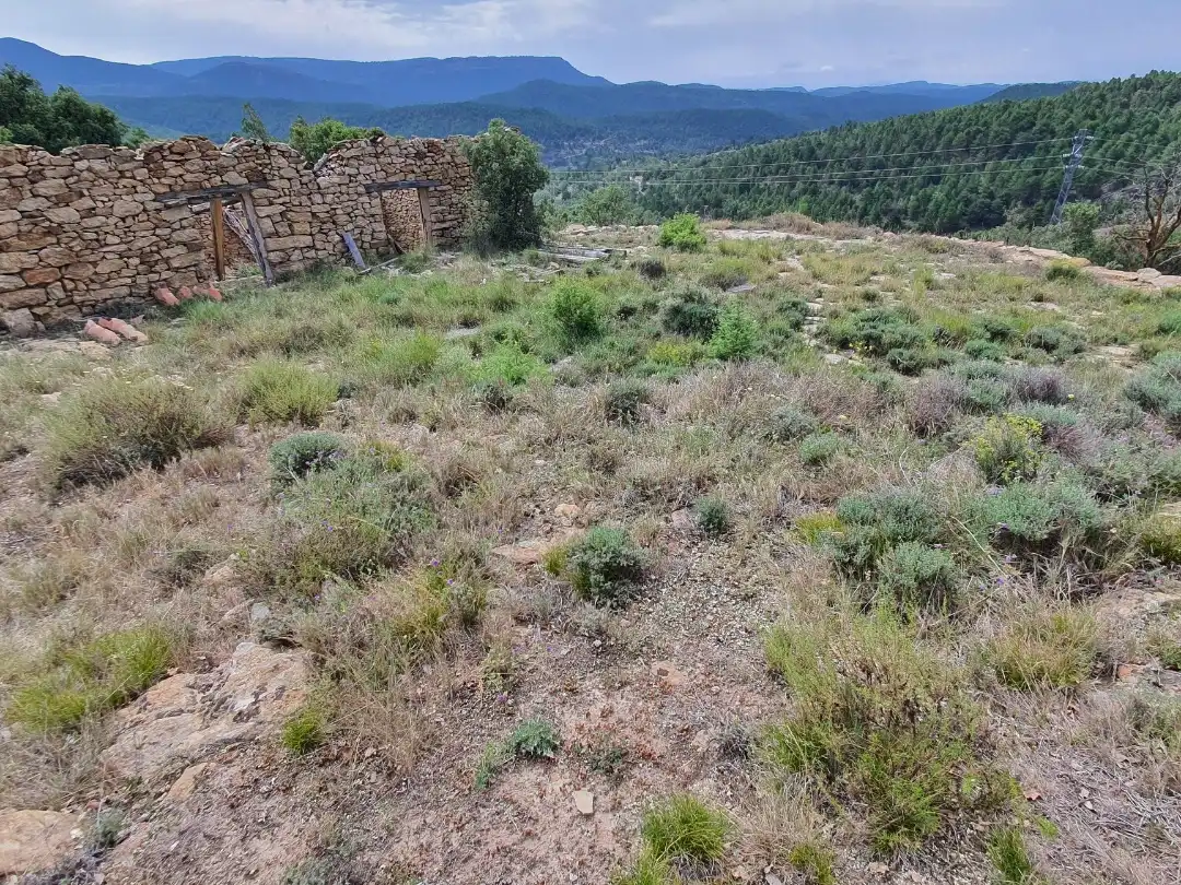Grundstücke zum Verkauf in El Castellar