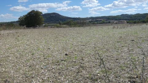 Finca edificable en  Sineu., immagine 4