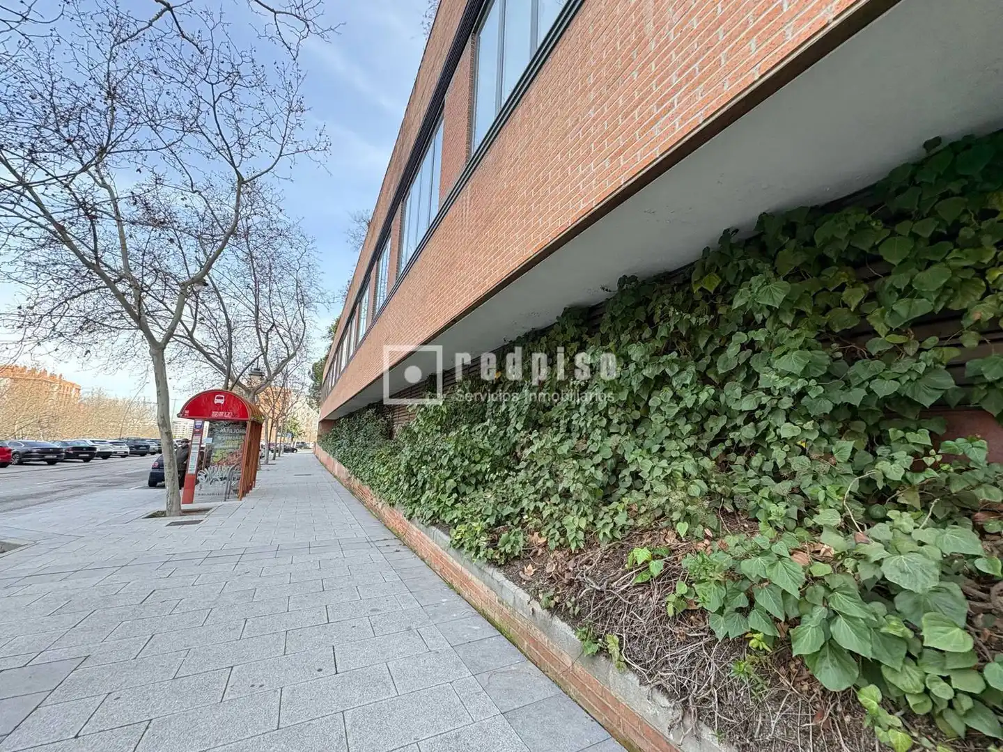 Study for sale in Foresta, Primera Fase - Nuevo Tres Cantos