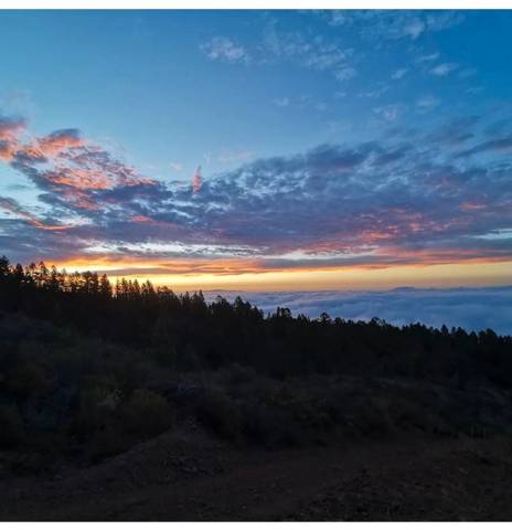 Terreno en Venta en Granadilla de Abona ciudad