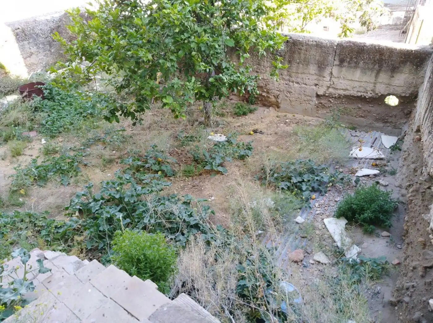 Houses for sale in Los Molares  with Terrace