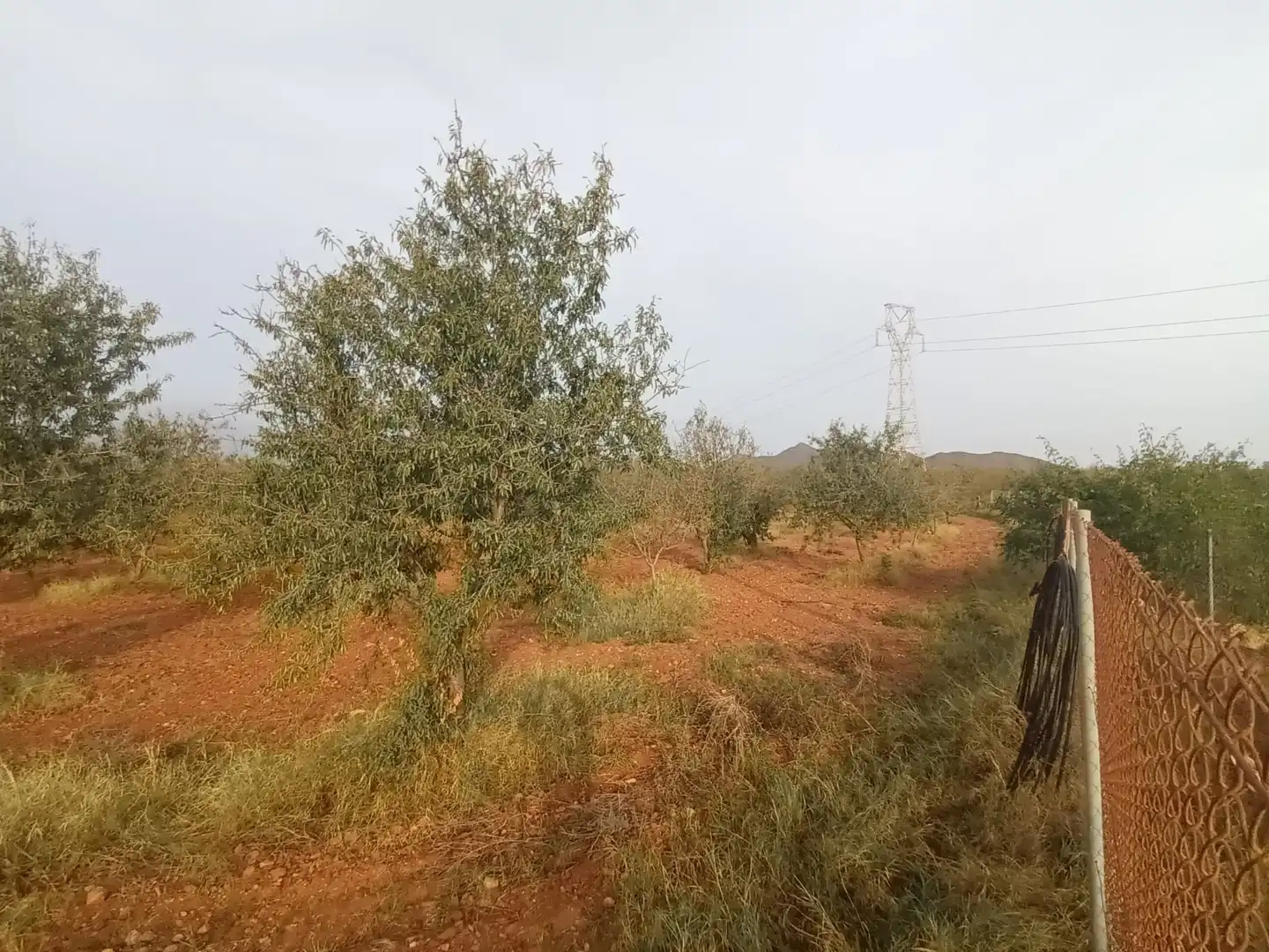 Terreny rústic en venda a Pedanías Oeste, imagen 8