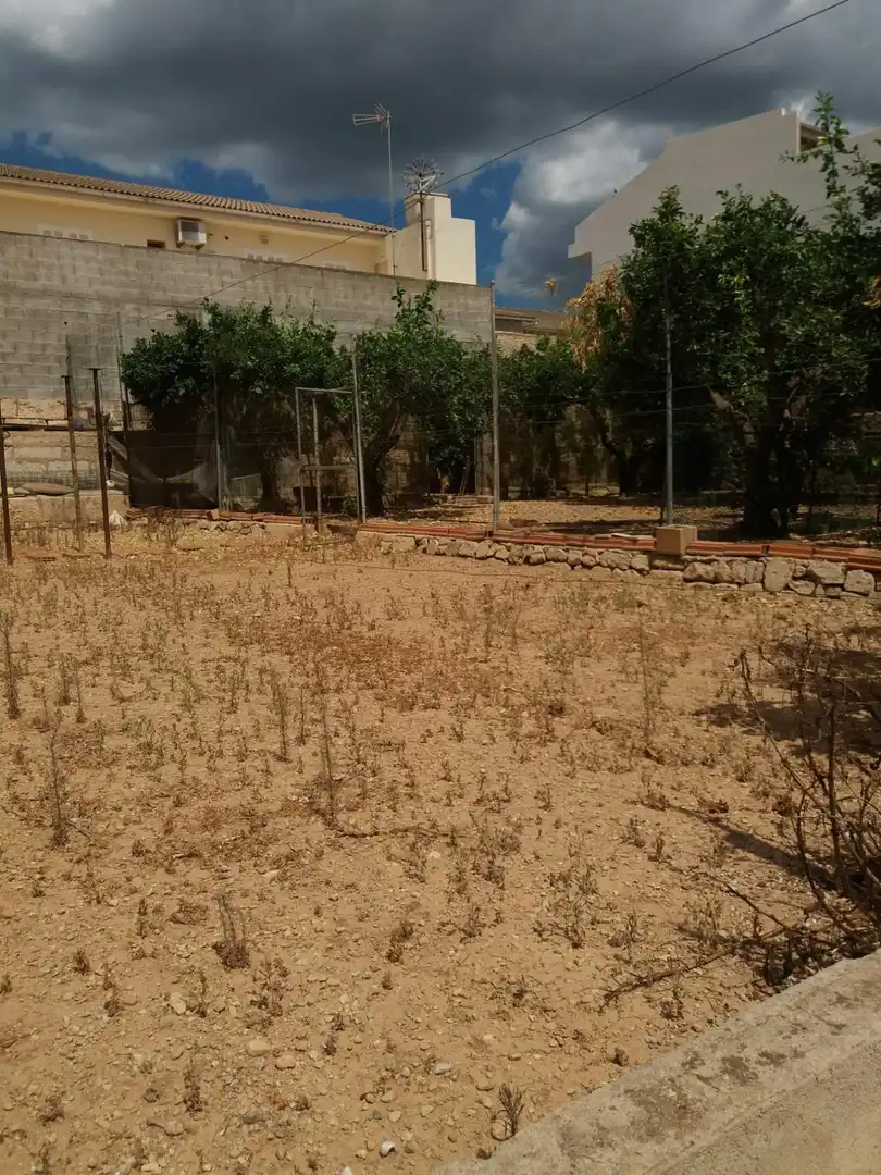 Lands and plots for sale in Sa Pobla, imagen 9
