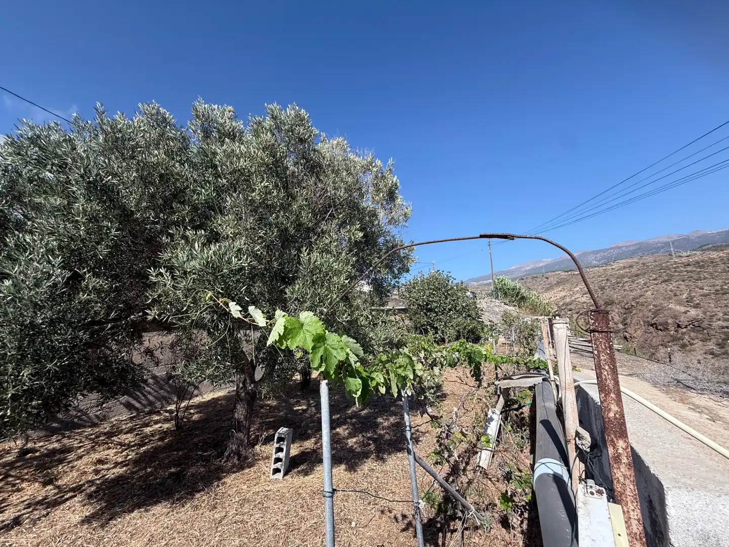 Country house with garden for sale in Calle la Vera, imagen 22