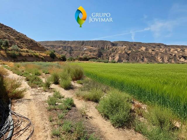 Terreno en Venta en Gorafe
