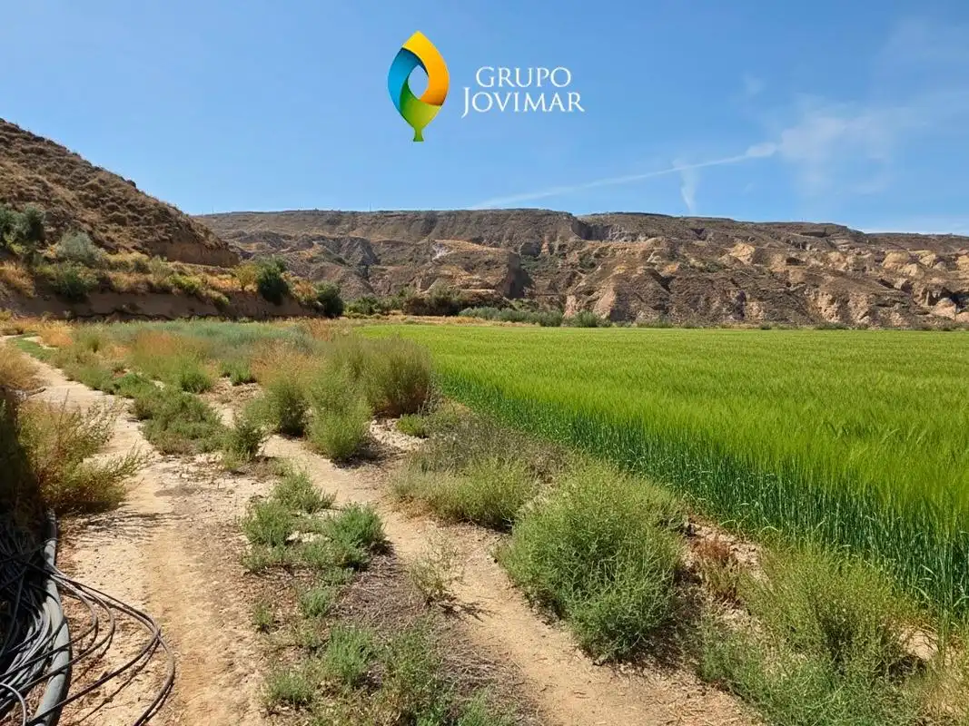 Terreno en venta en Gorafe