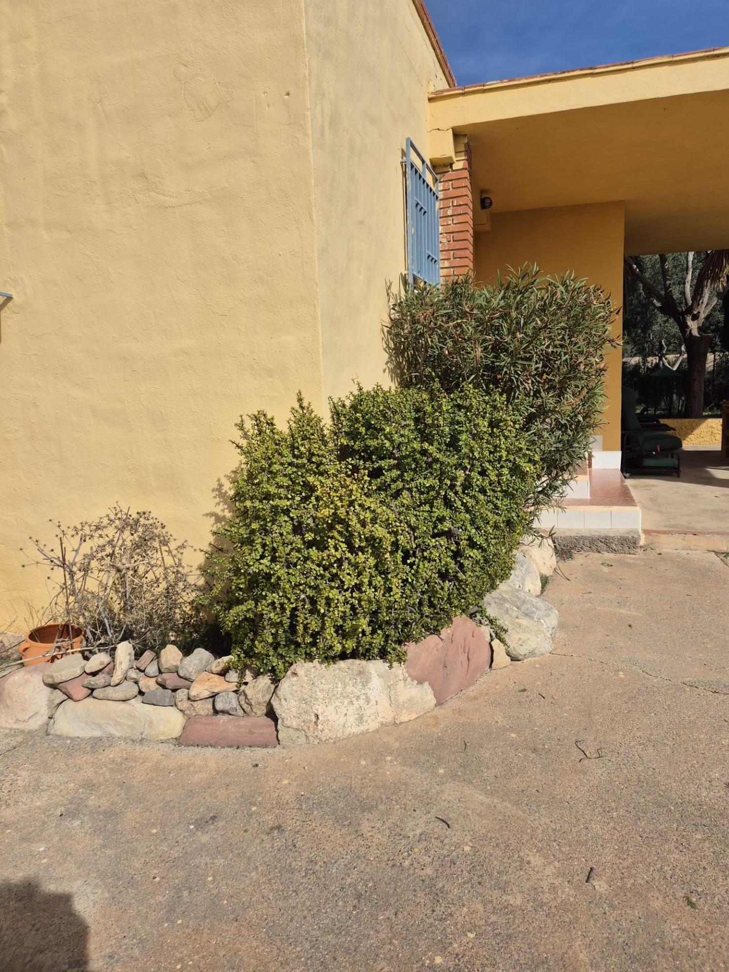 Jardín de Casa o chalet en venta en Llíria