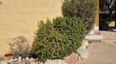 Foto 2 de Casa o chalet en venta en Casco Antiguo, Llíria