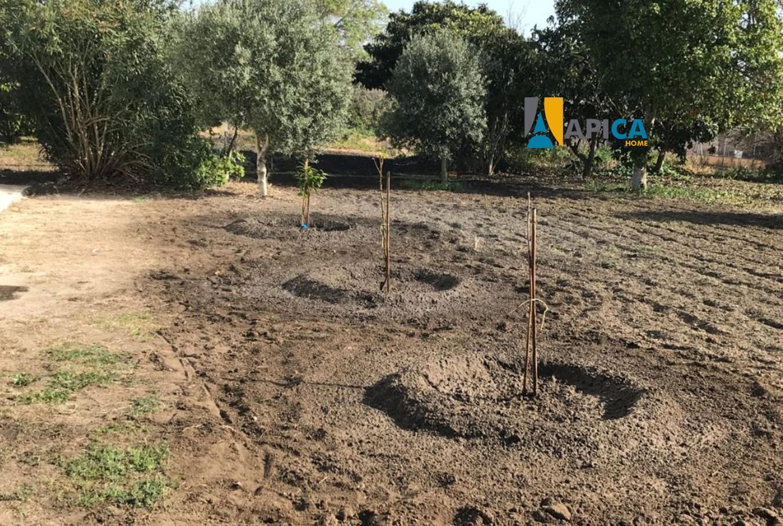 Casa o xalet en venda a Barbate ciudad