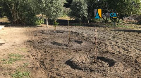 Foto 2 de Casa o xalet en venda a Barbate ciudad, Barbate