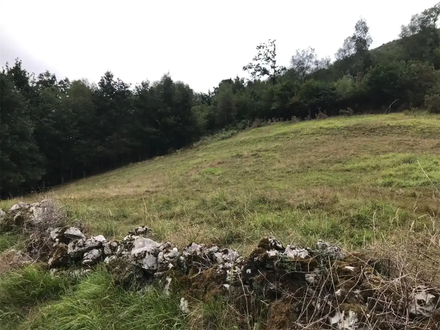 Finca rústica en venda en Piloña