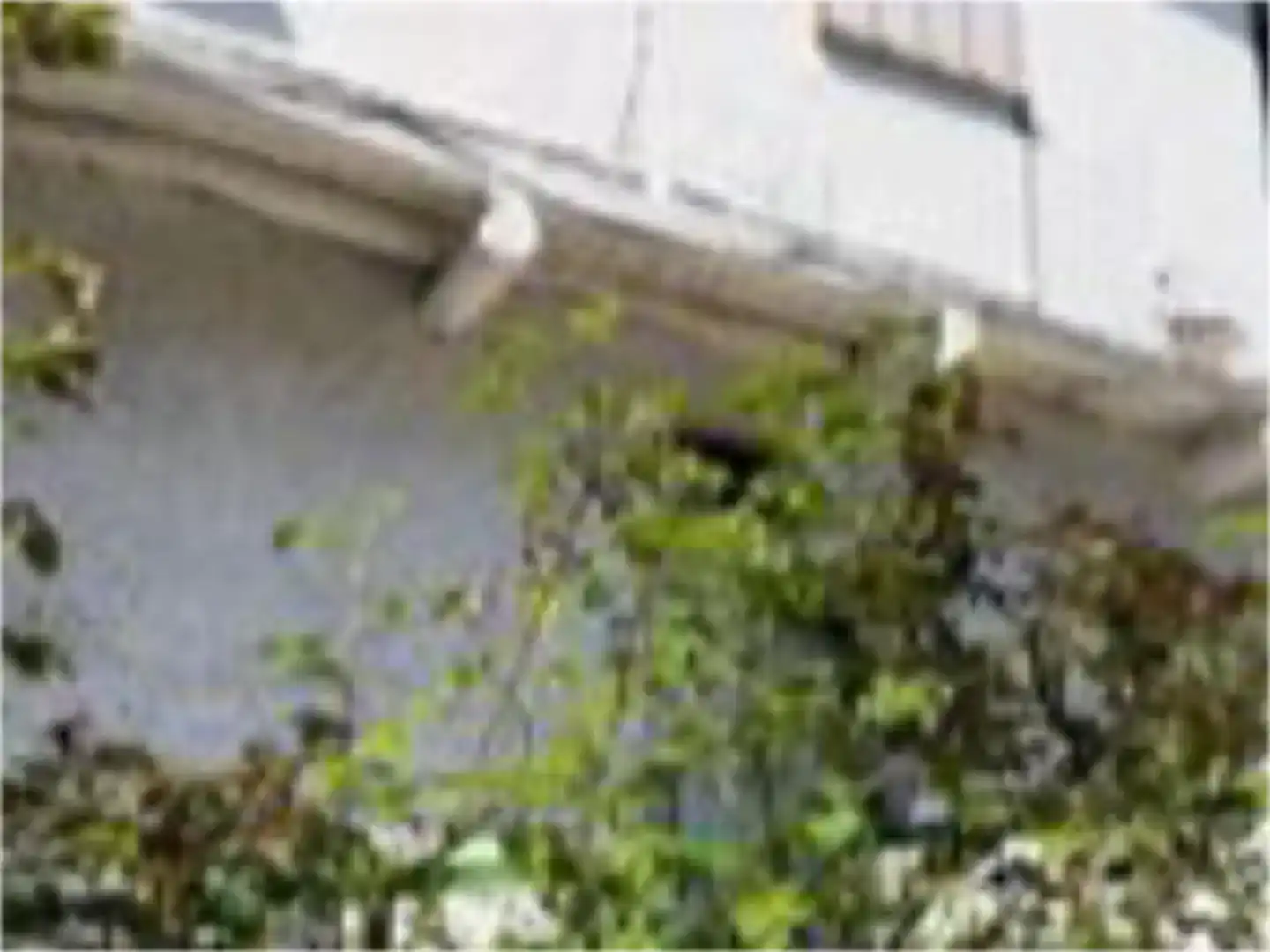 Exterior view of Detached homes for sale in Sobrado (León), León
