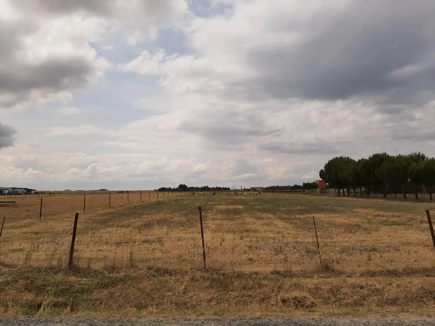 Casa rústica en venda a Malpartida de Cáceres, imagen 11