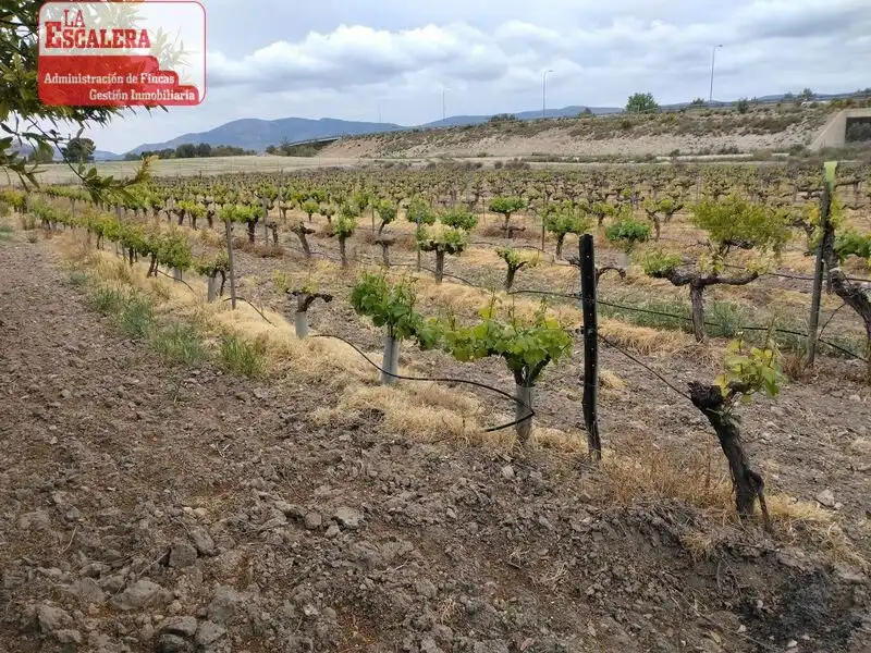 Xalet amb jardí en venda a Castalla, imagen 39