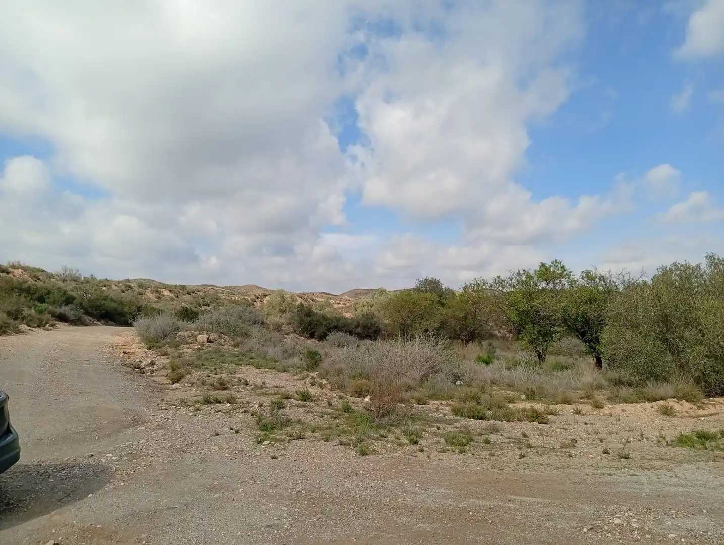 Terreny en venda a Rambla La Higuera, Albox