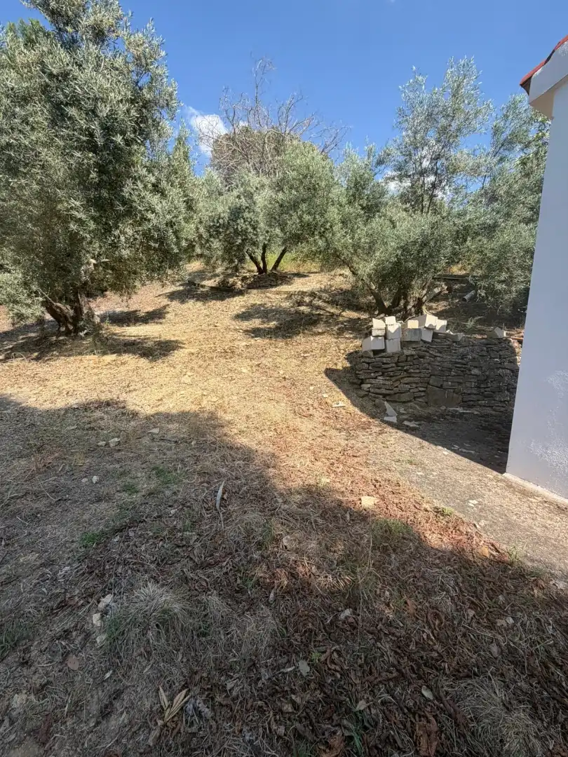 Finca rústica en venta en Los Villares con Terraza, Trastero y Piscina