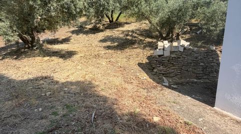 Foto 2 de Finca rústica en venda a Los Villares, Jaén