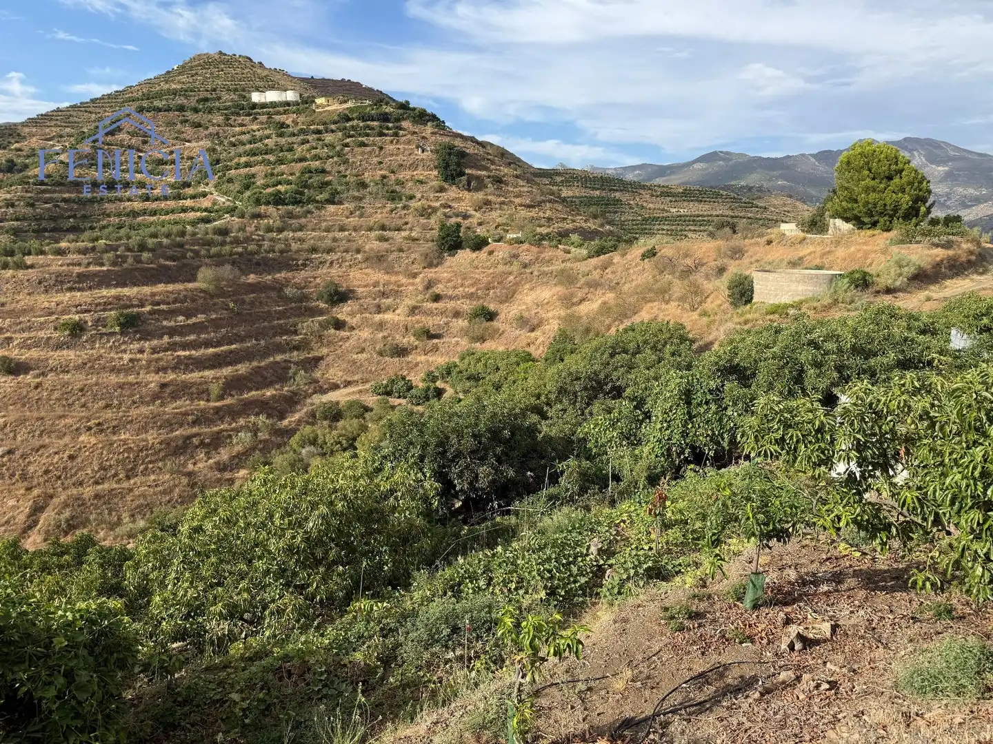 Terreno en venta en Almuñécar