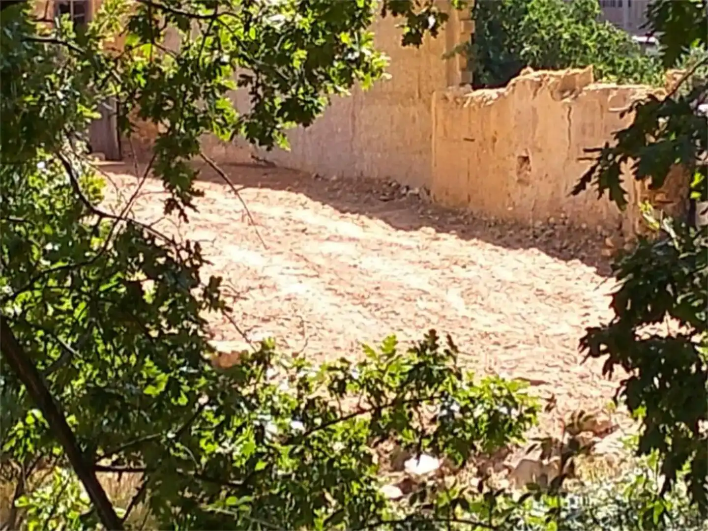 Jardín de Terreno en venta en Ayoó de Vidriales