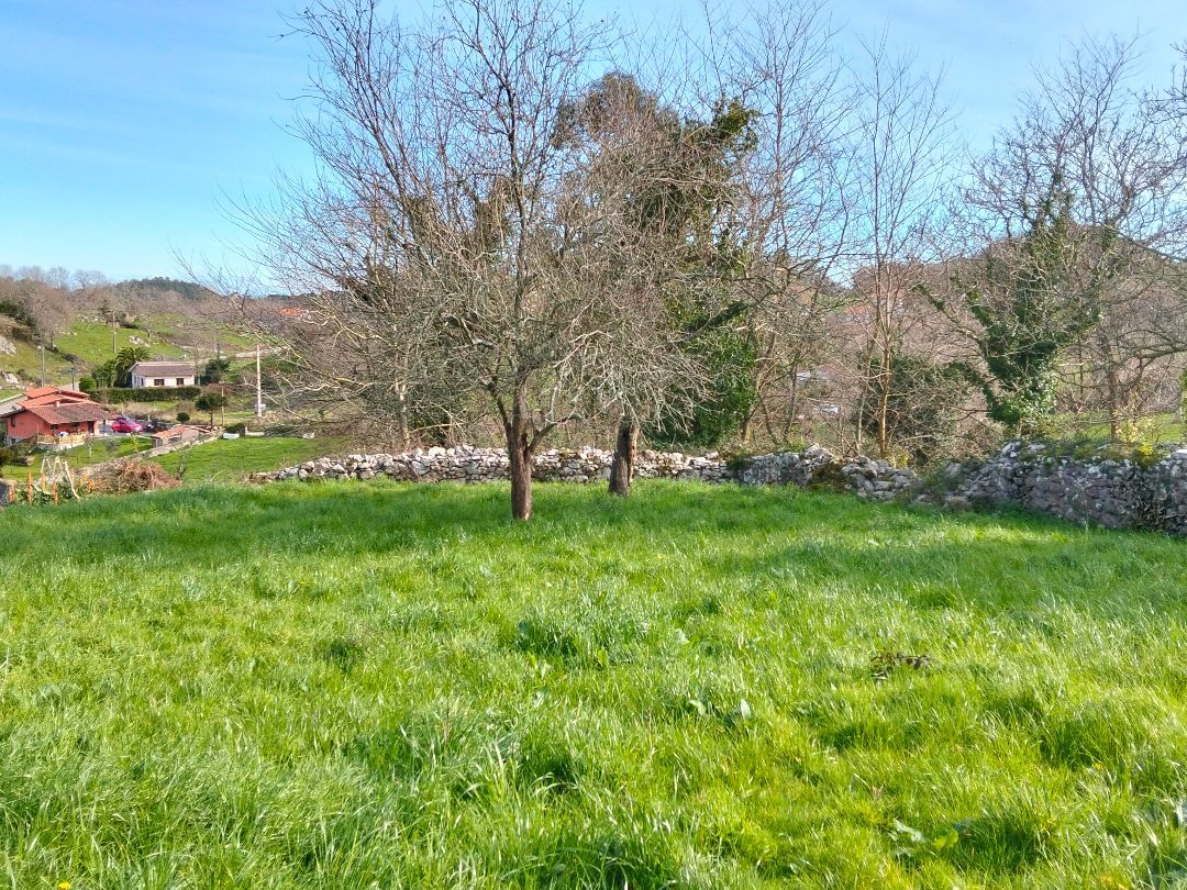 Terreno en venta en Llanes