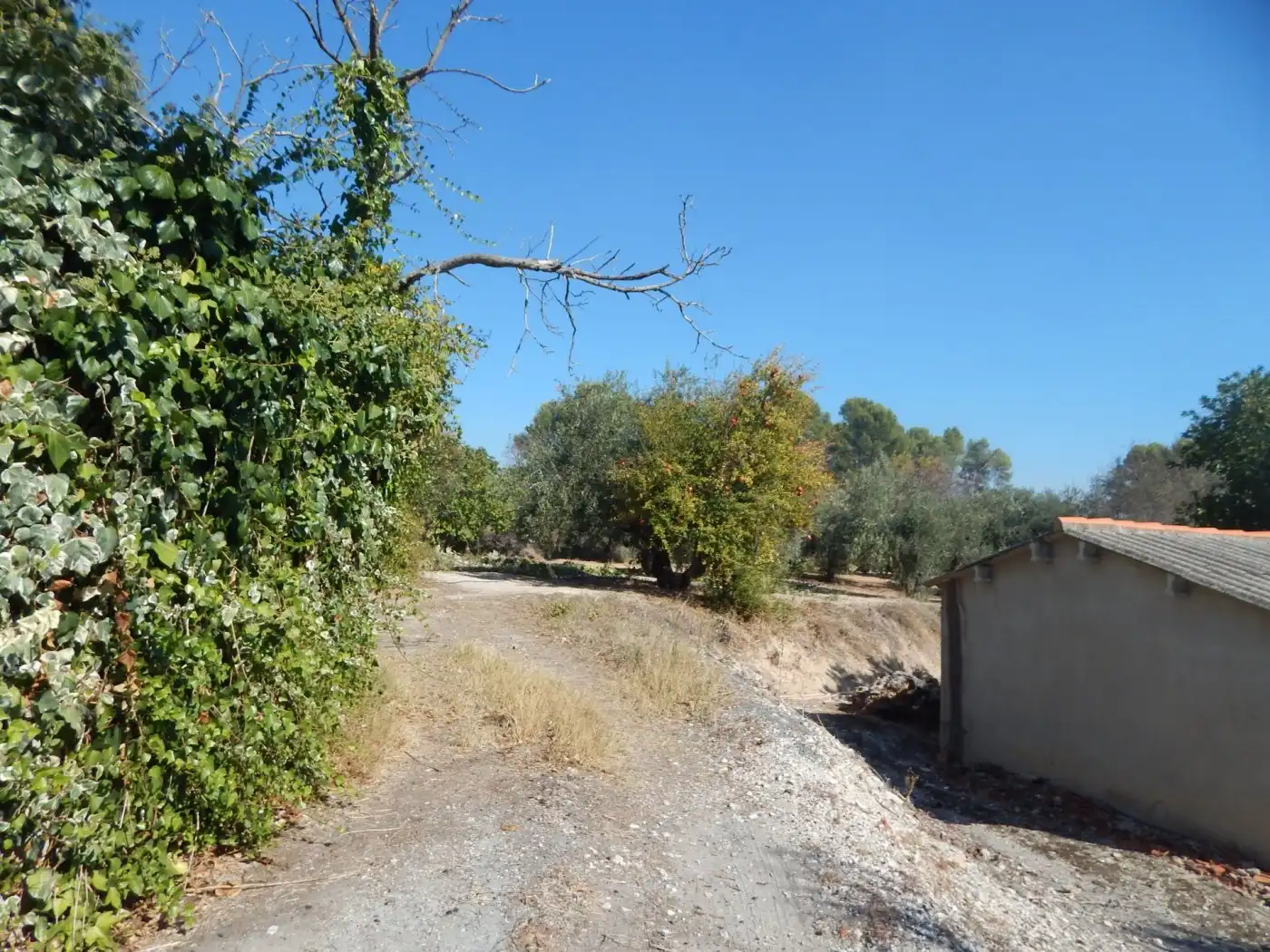 Villa mit Pool zum Verkauf in El Pilar, imagen 32