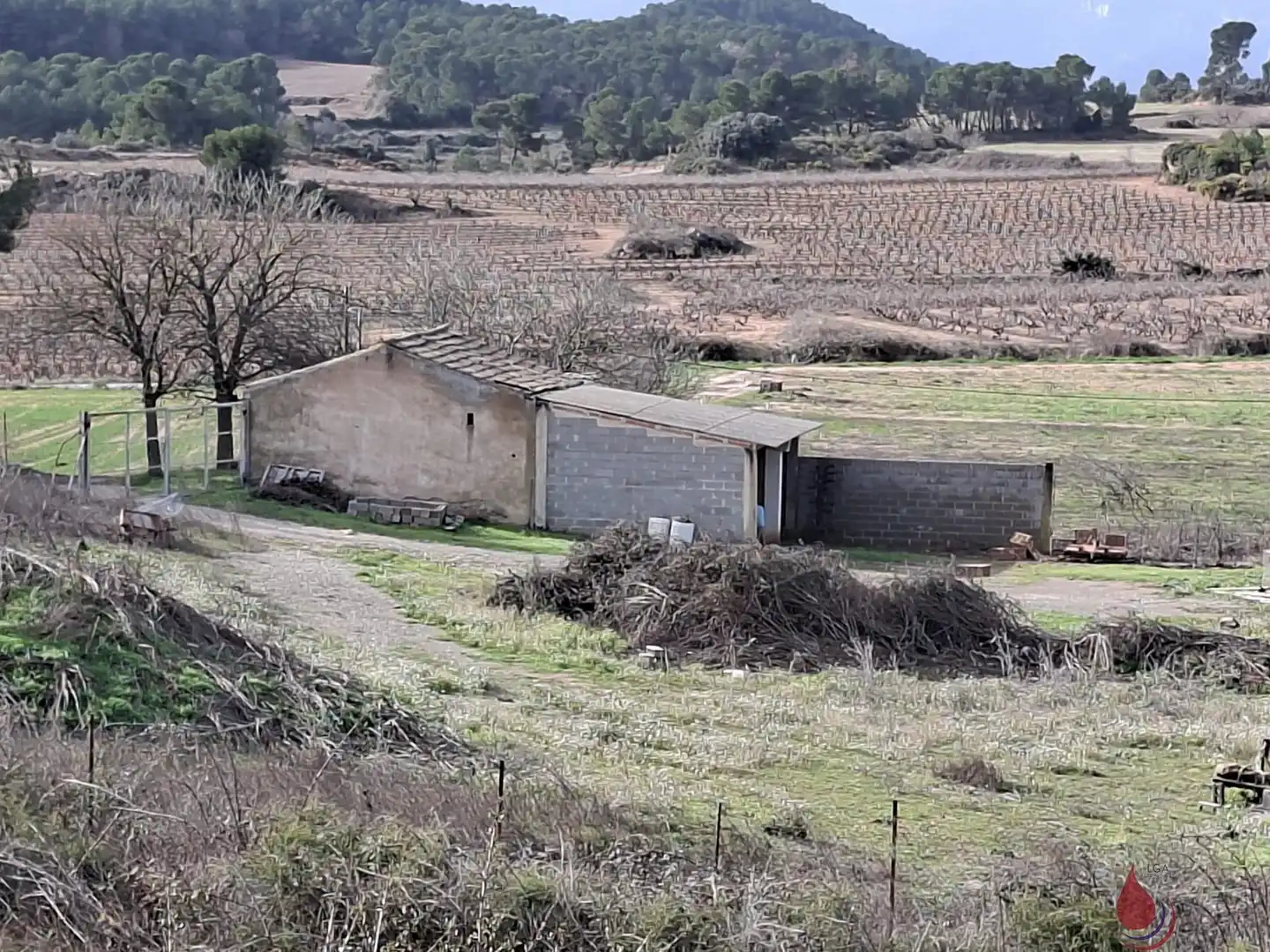 Lands and plots for sale in Cabra del Camp, imagen 2