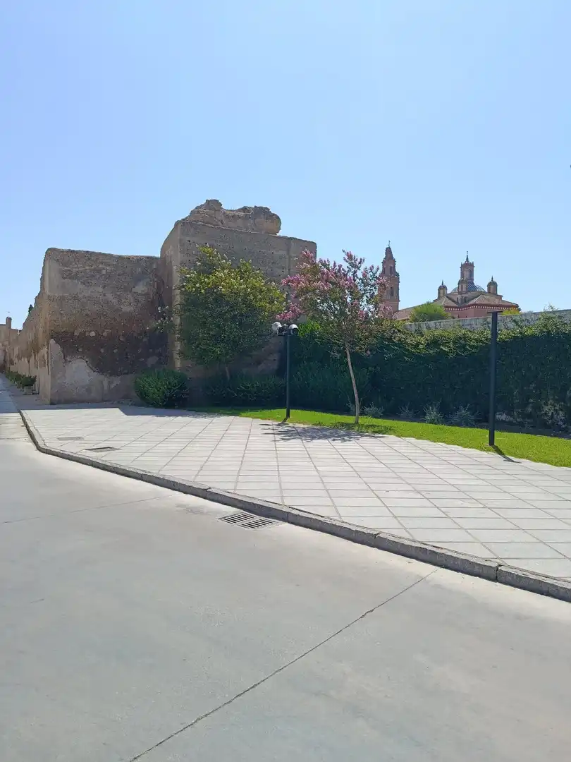 Wohnbaugrundstück zum Verkauf in Calle 7 REVUELTAS