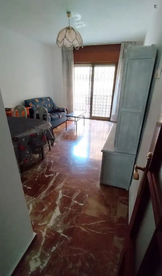 Sala de estar de Apartamento para compartir en Granada con Amueblado, Horno y Lavadora