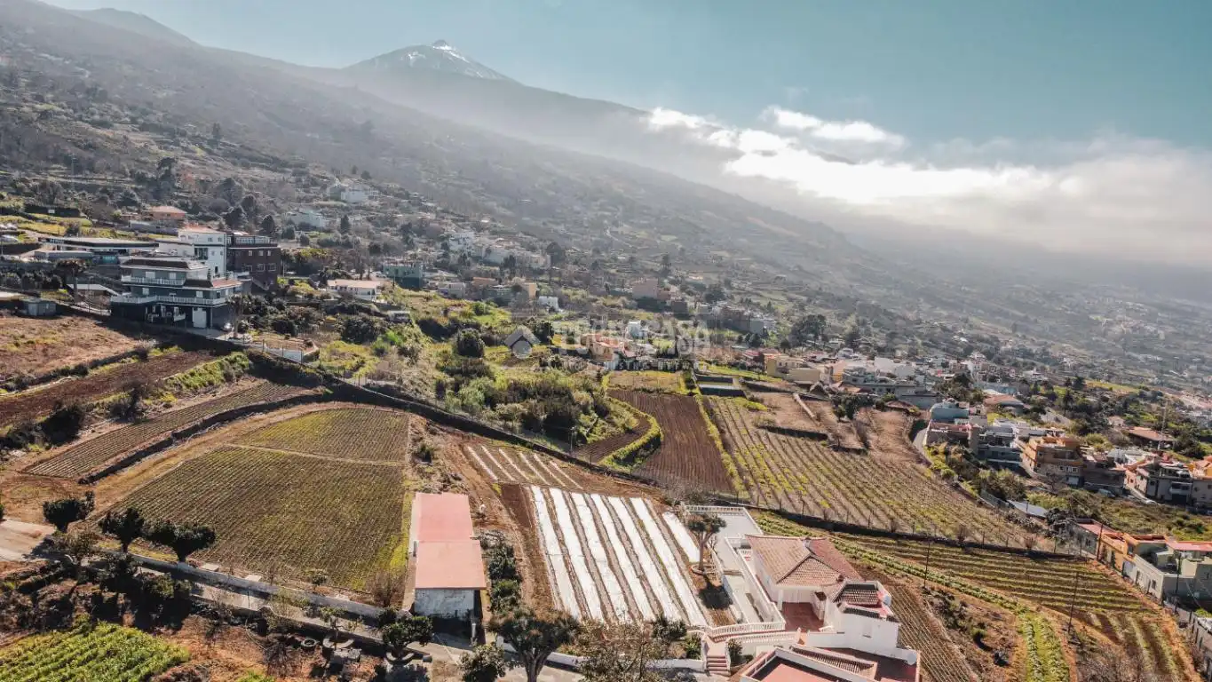 Exterior view of Houses for sale in La Orotava