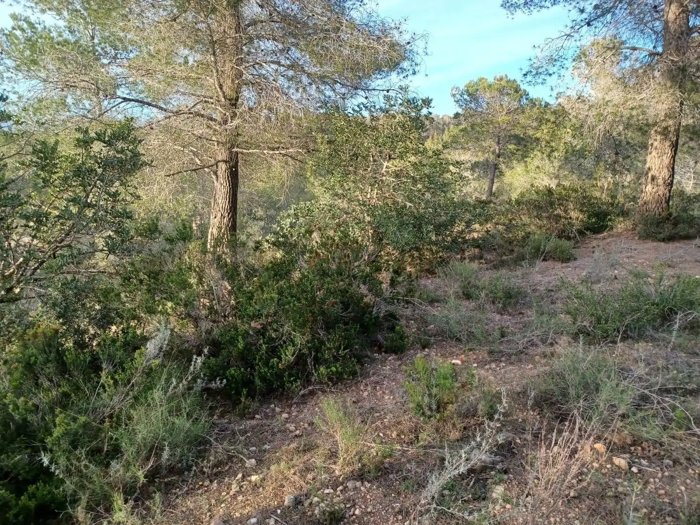 Terreno residencial en venta en dels Morts, imagen 4