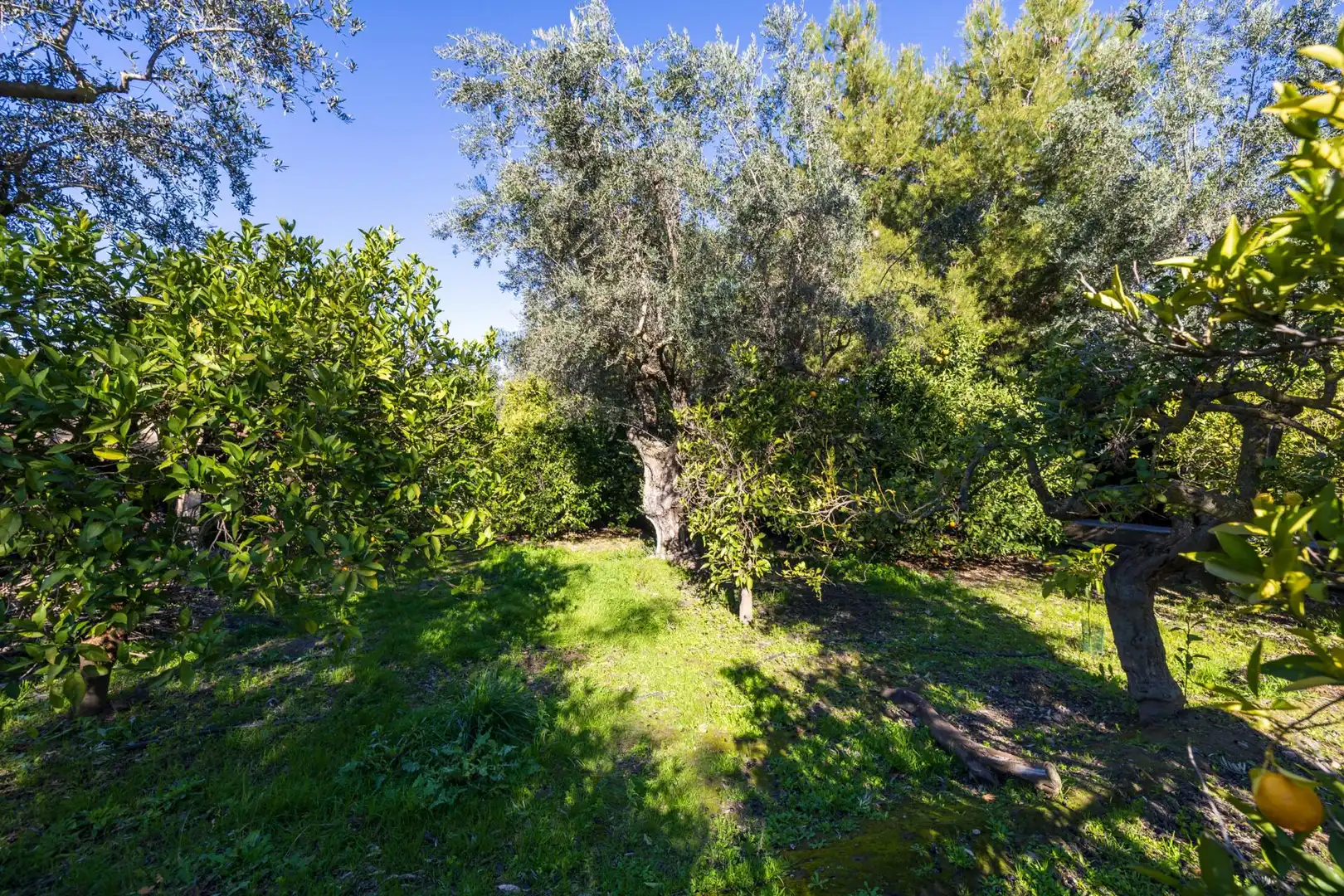 Villa avec terrasse à vendre à El Valle, imagen 58