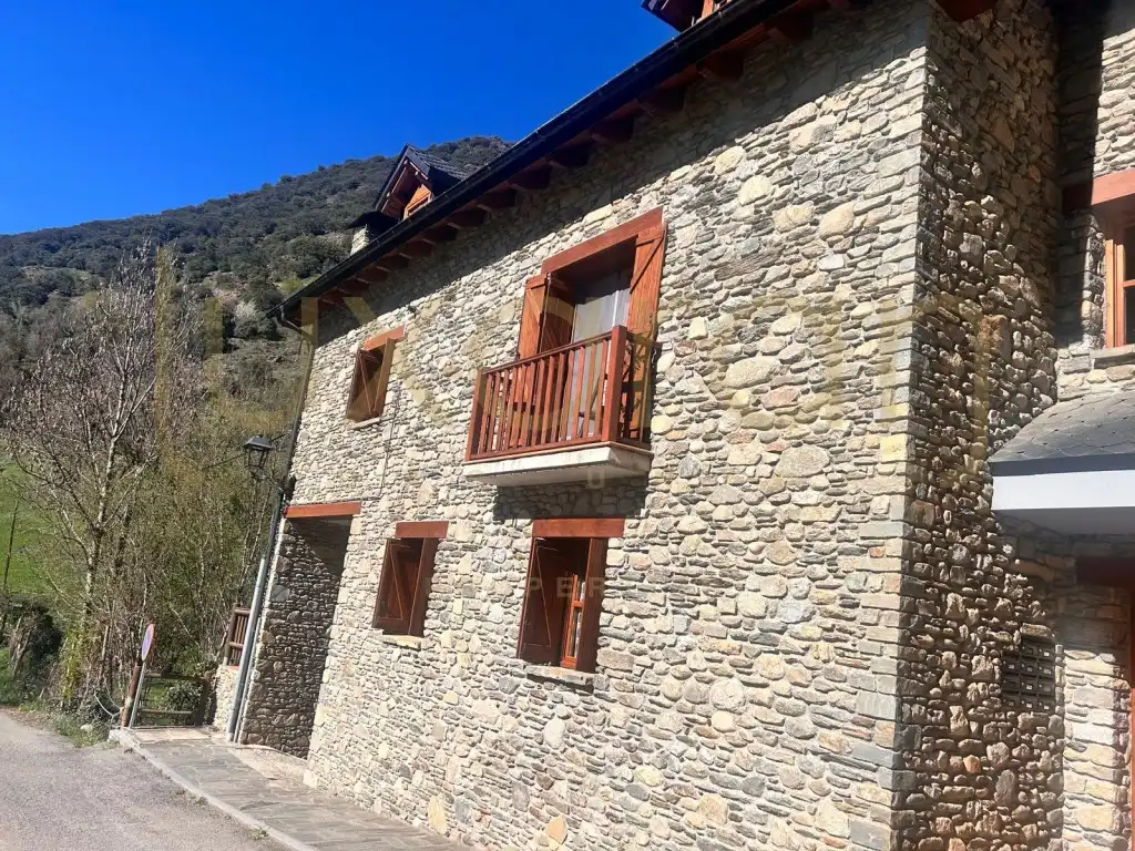 Exterior view of Apartments for sale in La Guingueta d'Àneu