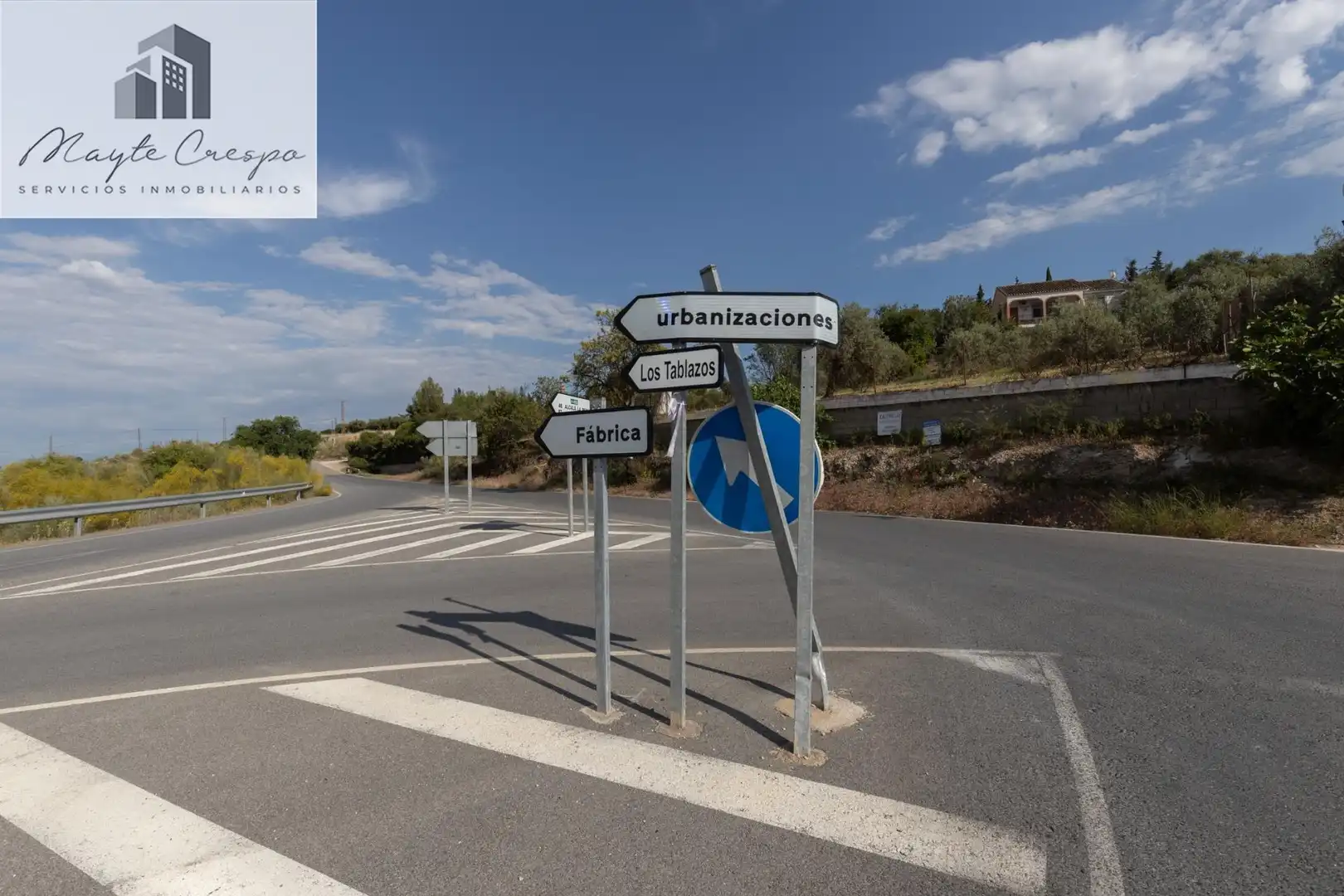 Rural land for sale in Moraleda de Zafayona, imagen 23