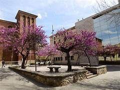 Vista exterior de Edifici en venda en Cornellà de Llobregat