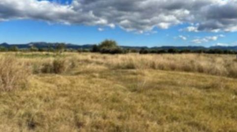 Foto 4 de Terreno en venta en Villanueva de Castellón, Valencia