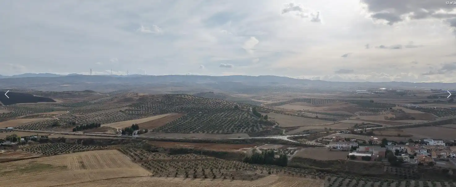 Vista exterior de Finca rústica en venta en La Malahá