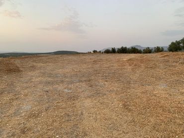 Terreno rustico in vendita a Poleares