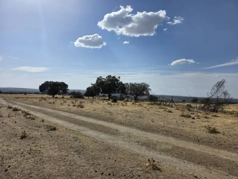Terreni e lotti in vendita a Alcántara, imagen 30
