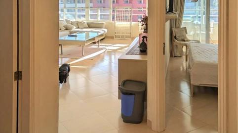 Foto 4 de Apartament en venda a 0, -1, Portals Nous, Calvià