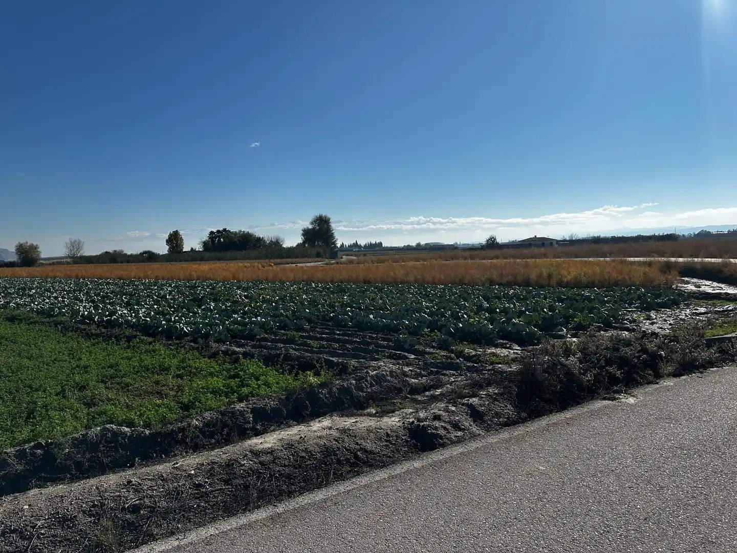 Terrains et parcelles à vendre à Fuente Vaqueros, imagen 10