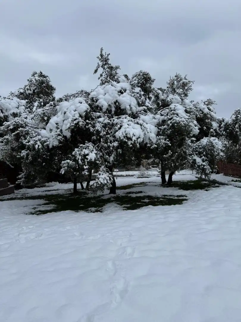 Jardí de Residencial en venda en Maello