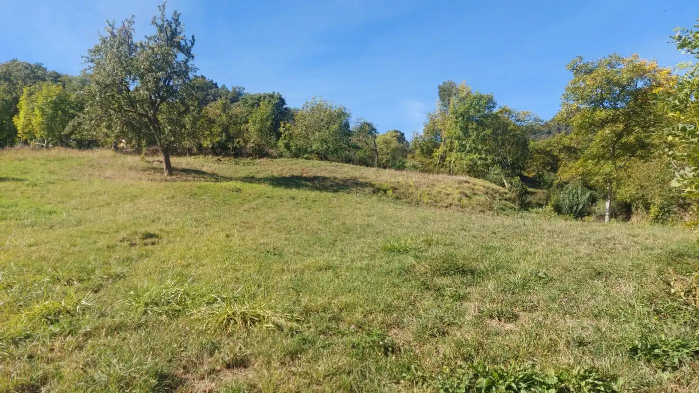 Terreno en venta en Camaleño