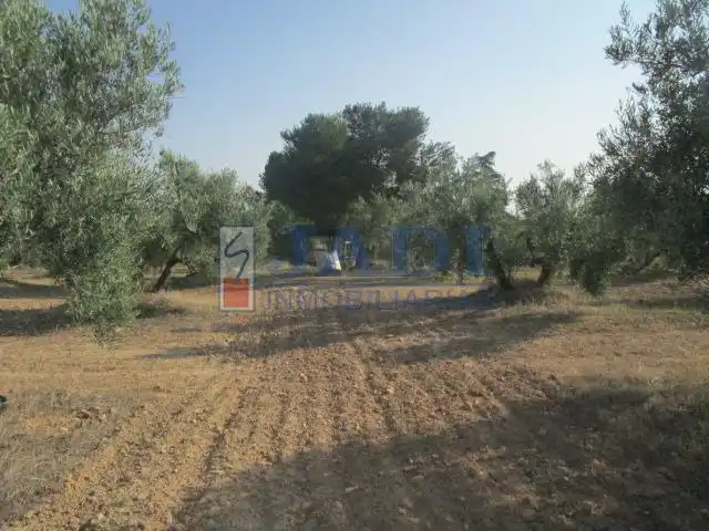 Casa rústica en venda a Valdepeñas, imagen 9