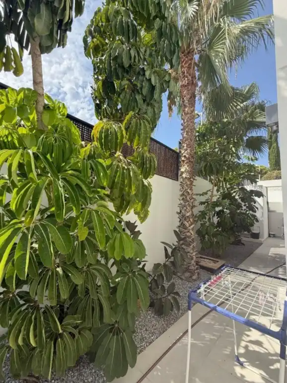 Maison mitoyenne avec piscine à vendre à Partida Manzanera, imagen 17