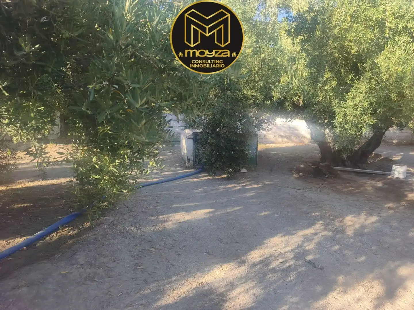 Villa à vendre à La Guardia de Jaén, imagen 5